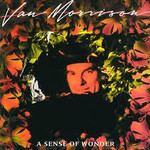 Van Morrison – A Sense Of Wonder (VG)
