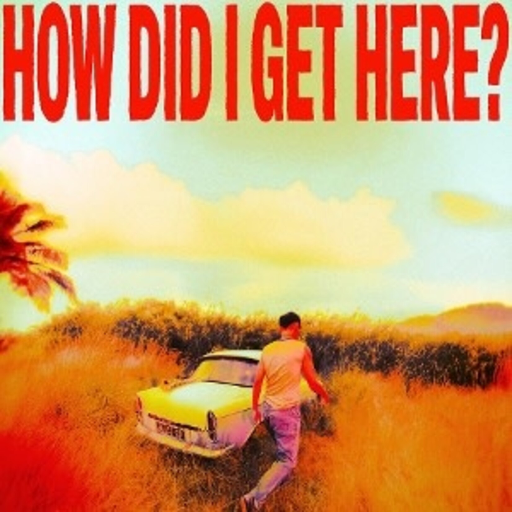 Louis Tomlinson - How Did I Get There?