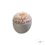 Mascagni O1494 Candle Diam.9 - Col.Pink