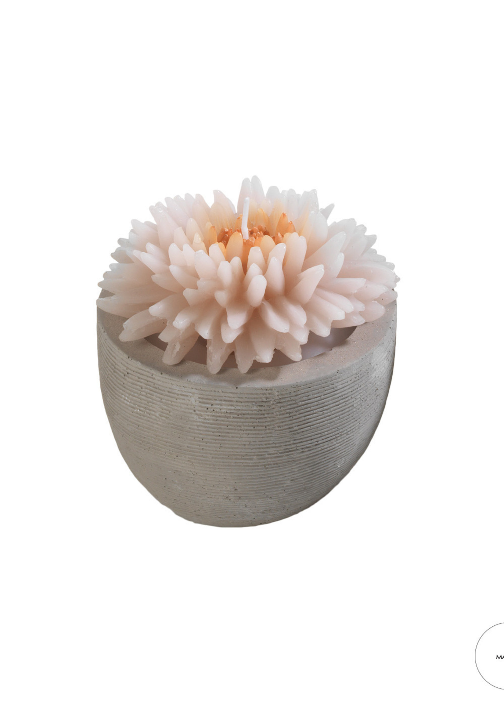 Mascagni O1494 Candle Diam.9 - Col.Pink