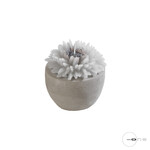 Mascagni O1494 Candle Diam.9,5 - Col.Grey