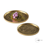 Mascagni O1528 Set 2 Tray