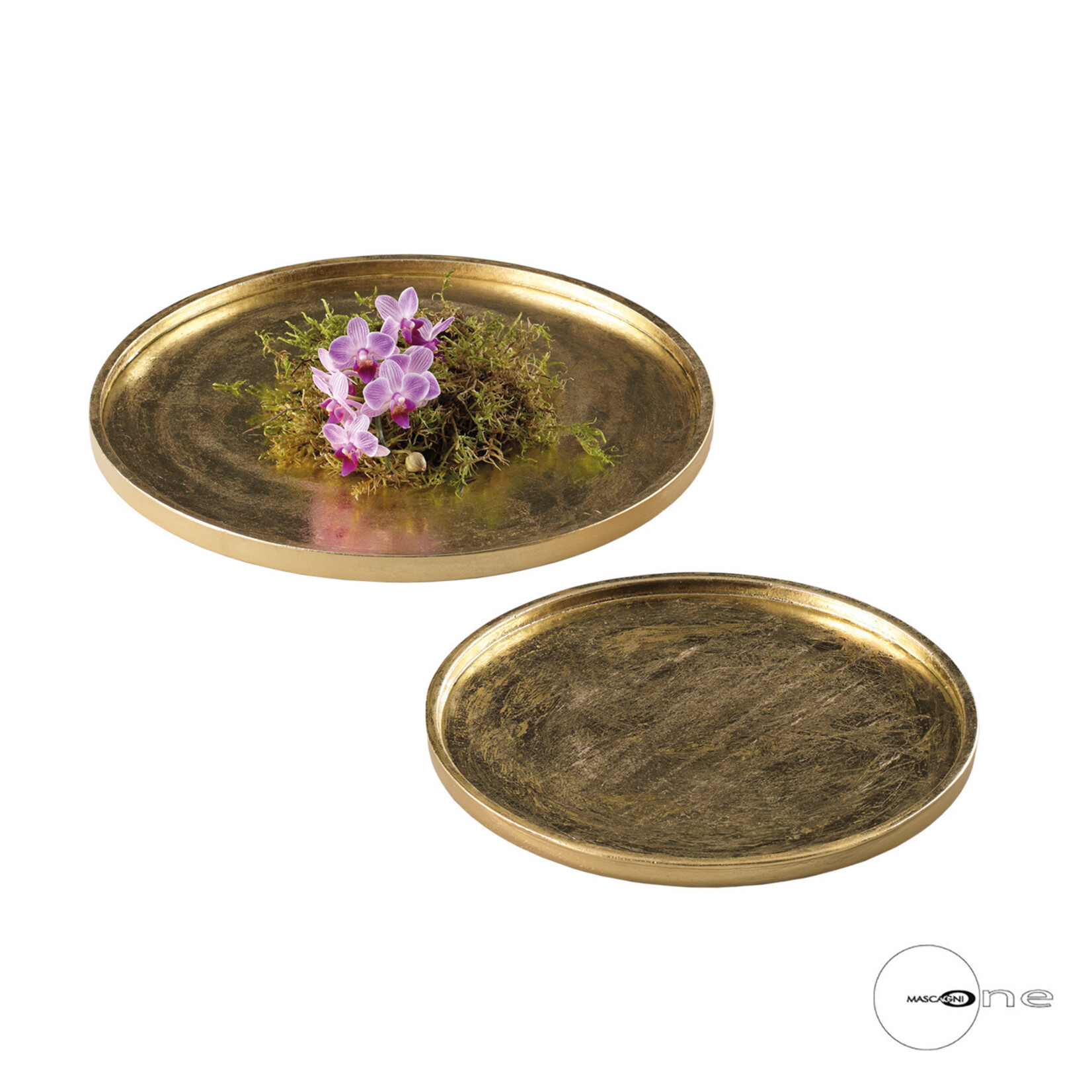 Mascagni O1528 Set 2 Tray