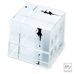 Mascagni M345 Cube Photos