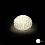 Mascagni O1348 Little Lamp Led