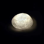 Mascagni O1349 Little Lamp Led