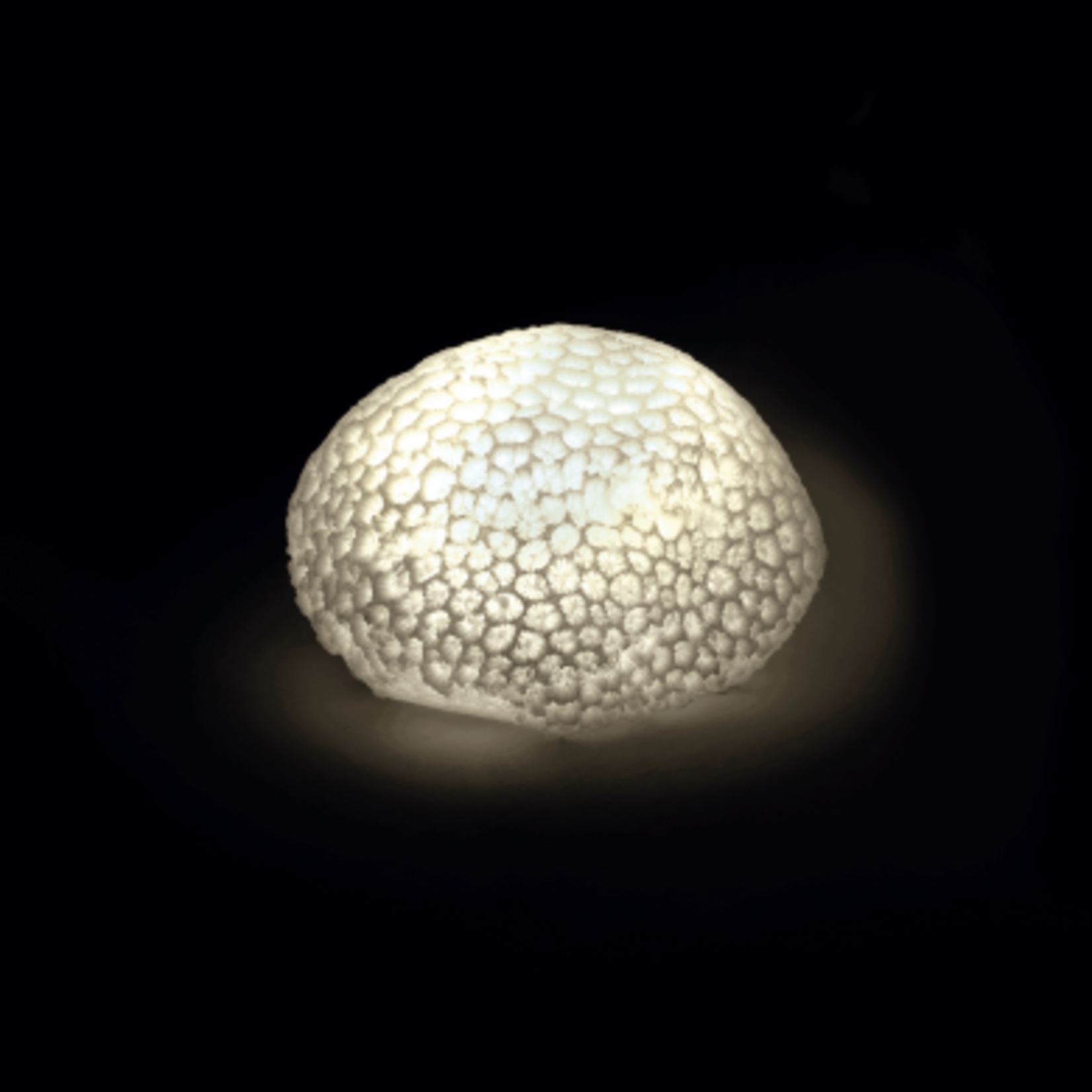 Mascagni O1349 Little Lamp Led