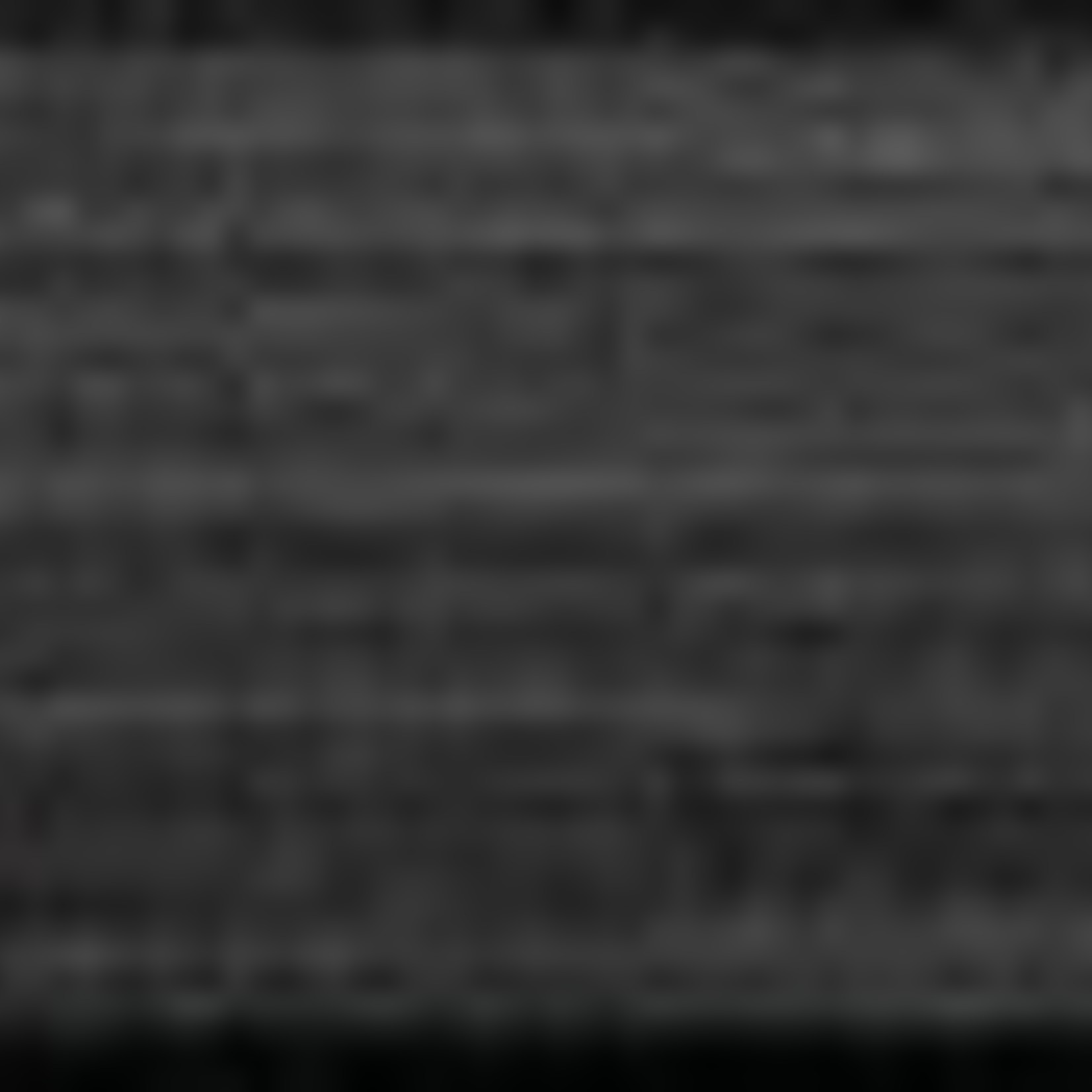 Nielsen C2 Mat Black