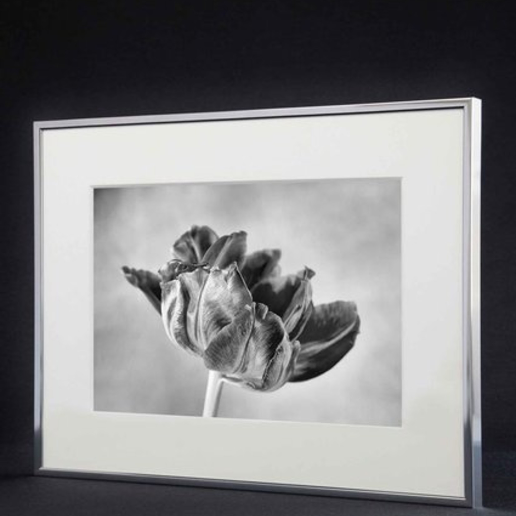 Nielsen Accent White