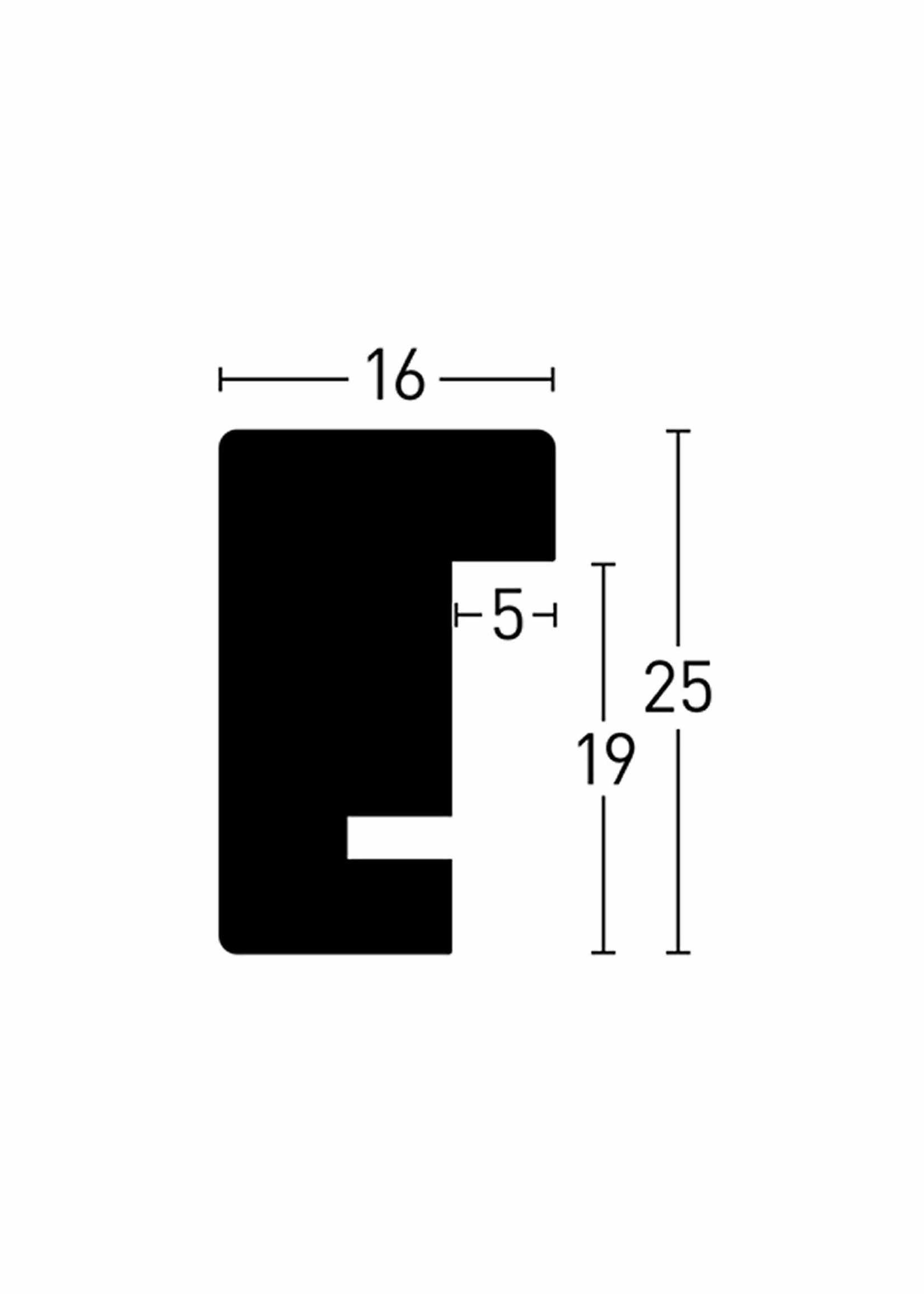 Nielsen Quadrum Esdoorn