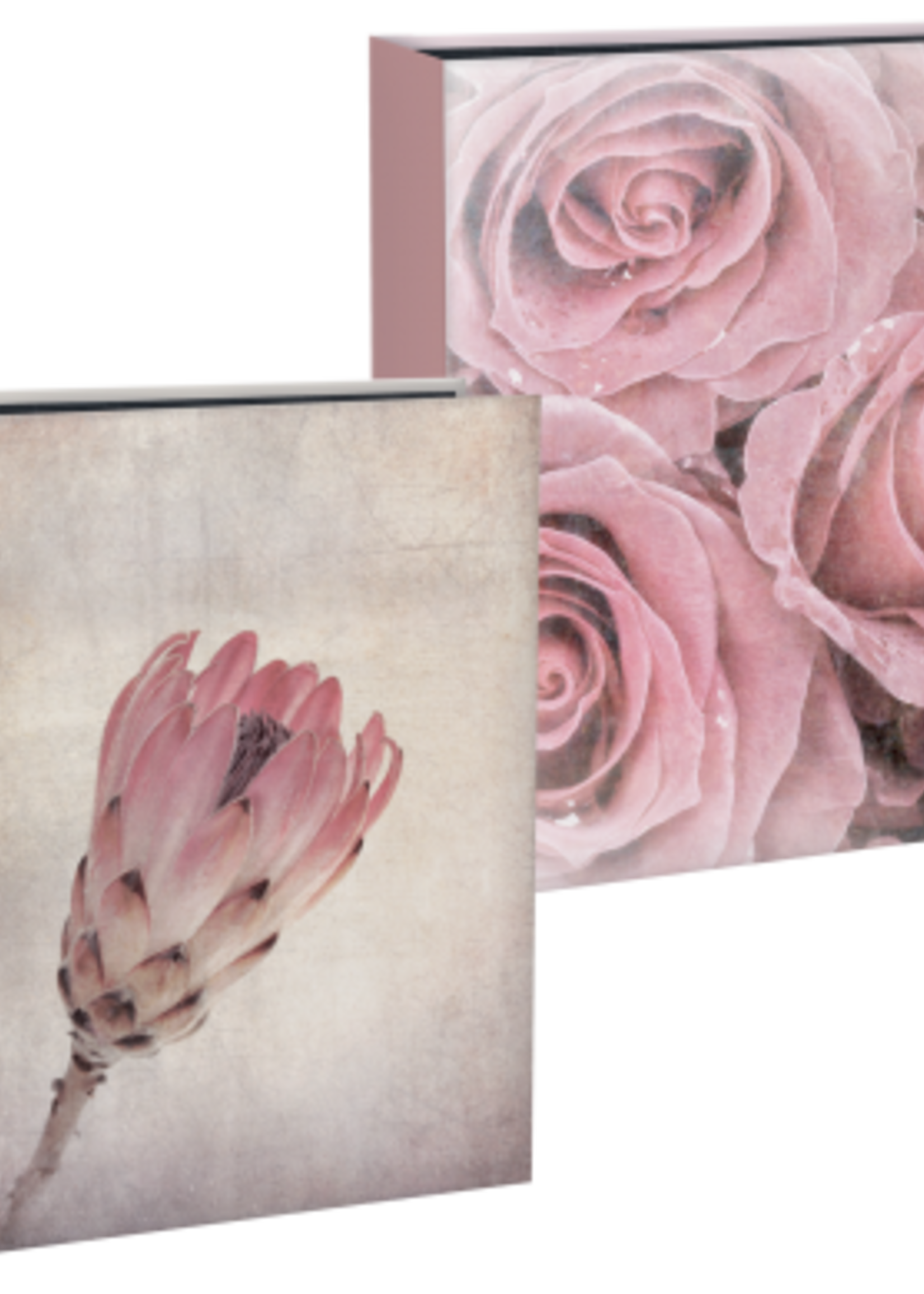 Mascagni ALBUM 200 PHOTOS 13X19