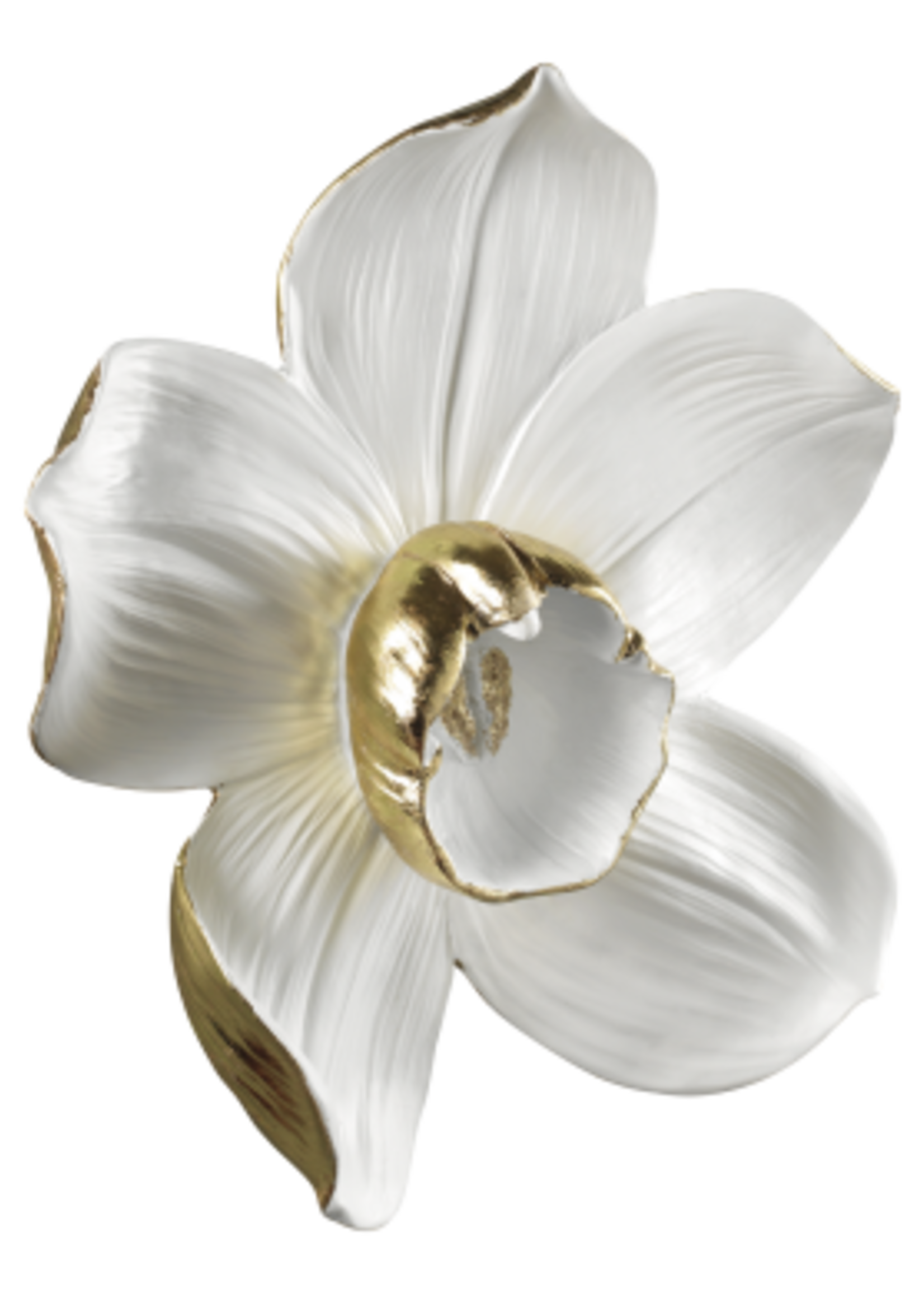 Mascagni DECO ORCHID DIAM.40