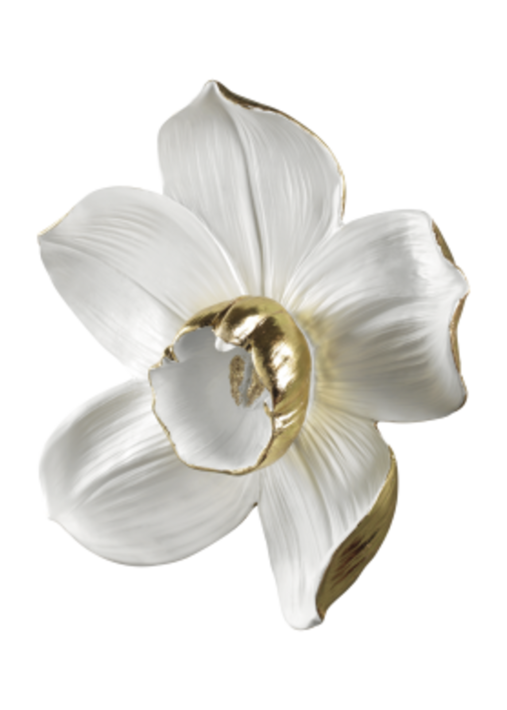 Mascagni DECO ORCHID DIAM.24