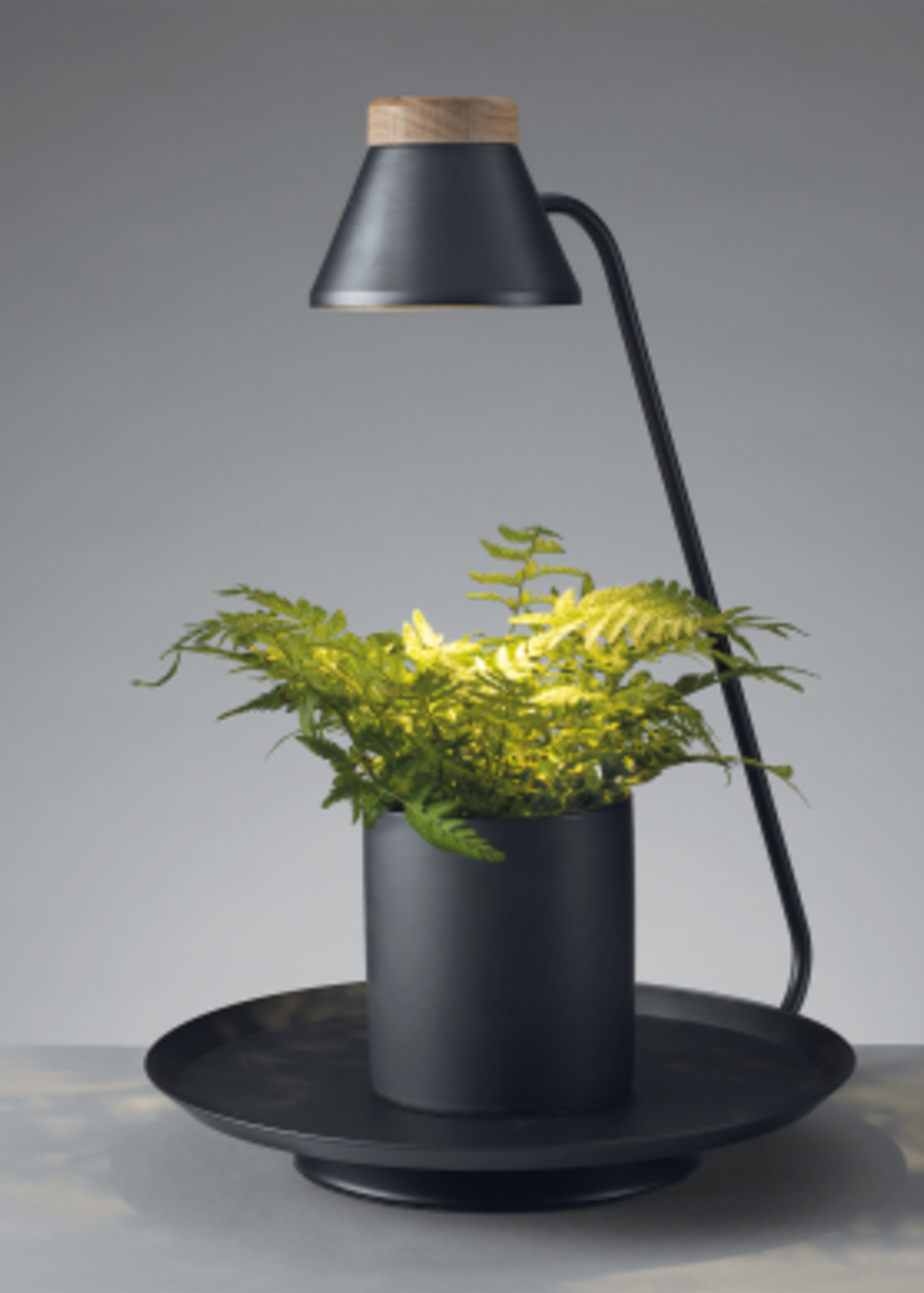 Mascagni LAMP FOR PLANTS COL.WHITE