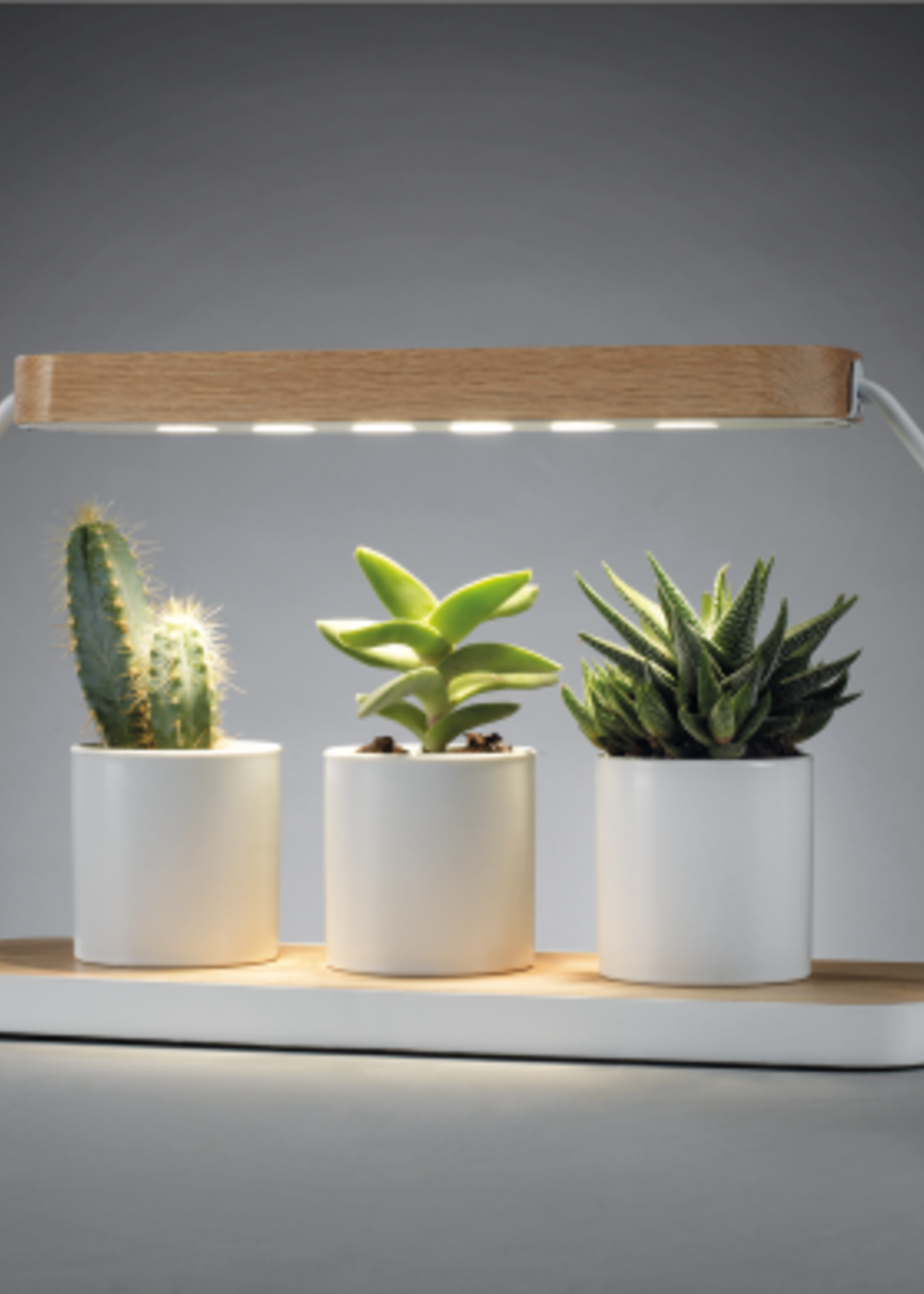 Mascagni LAMP FOR PLANTS  WITH WOOD BASED
