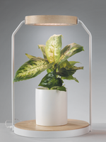 Mascagni LAMP FOR PLANTS WITH WOOD BASED