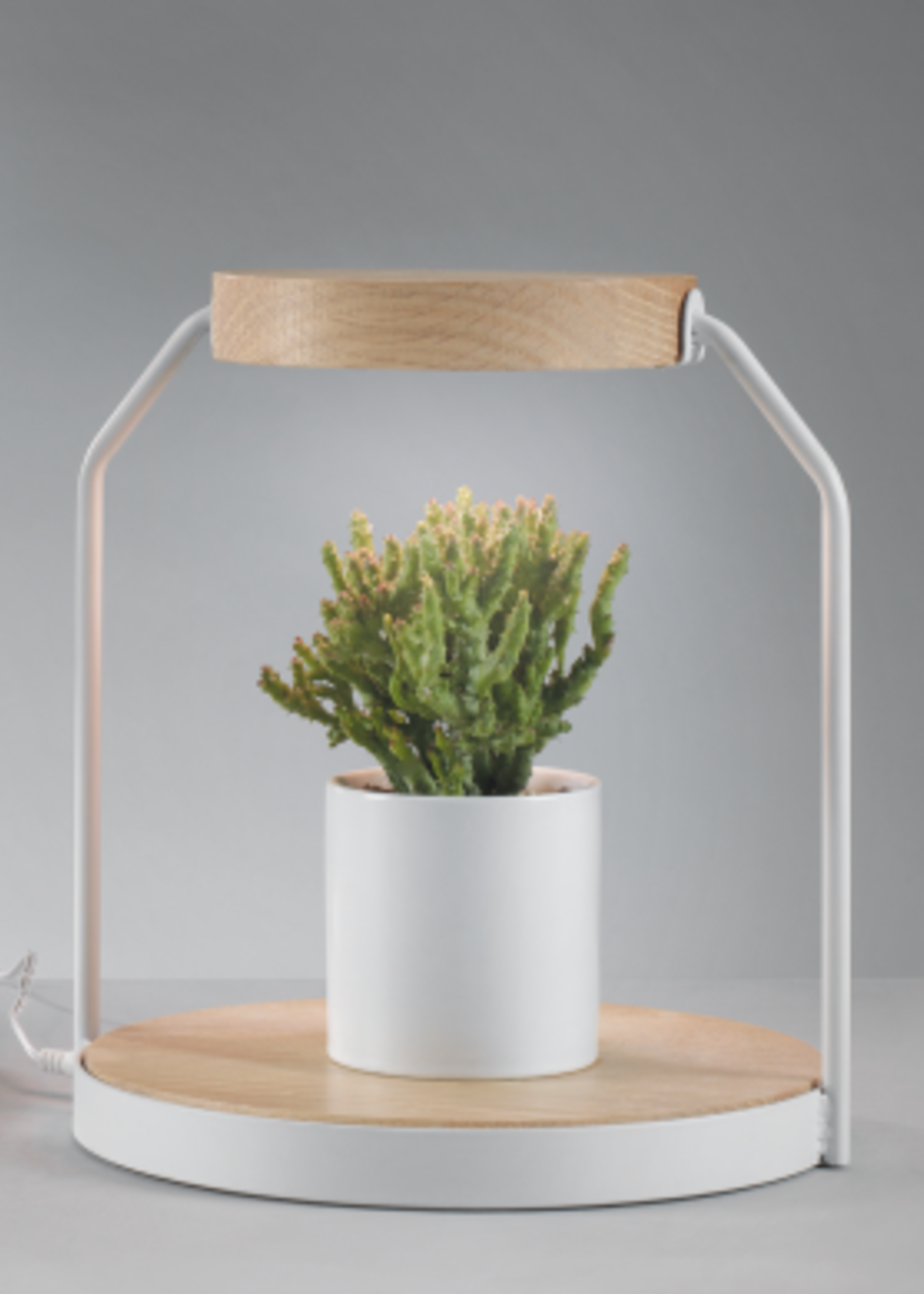Mascagni LAMP FOR PLANTS WITH WOOD BASED