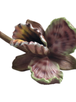 Mascagni ORCHID