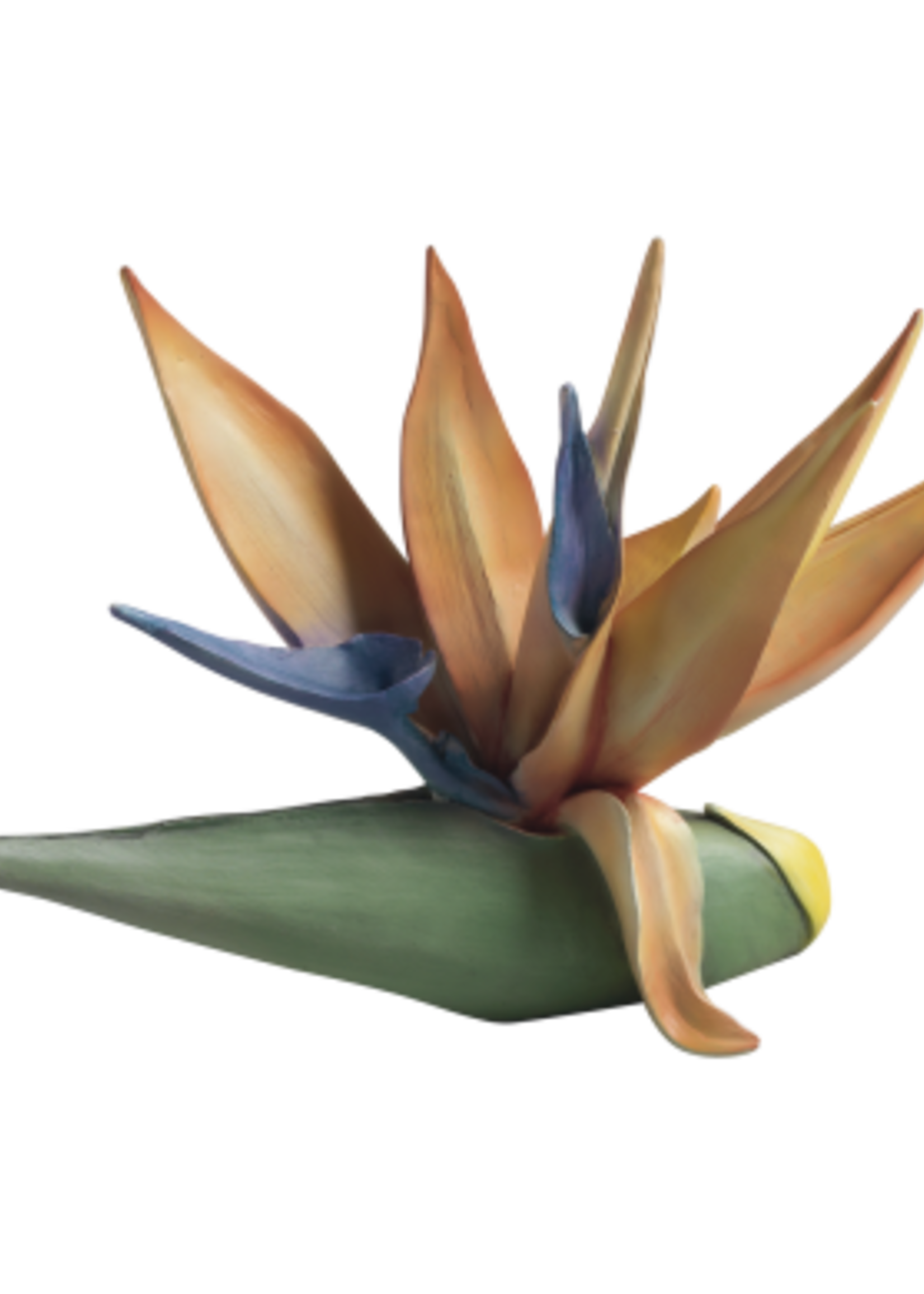 Mascagni FLOWER