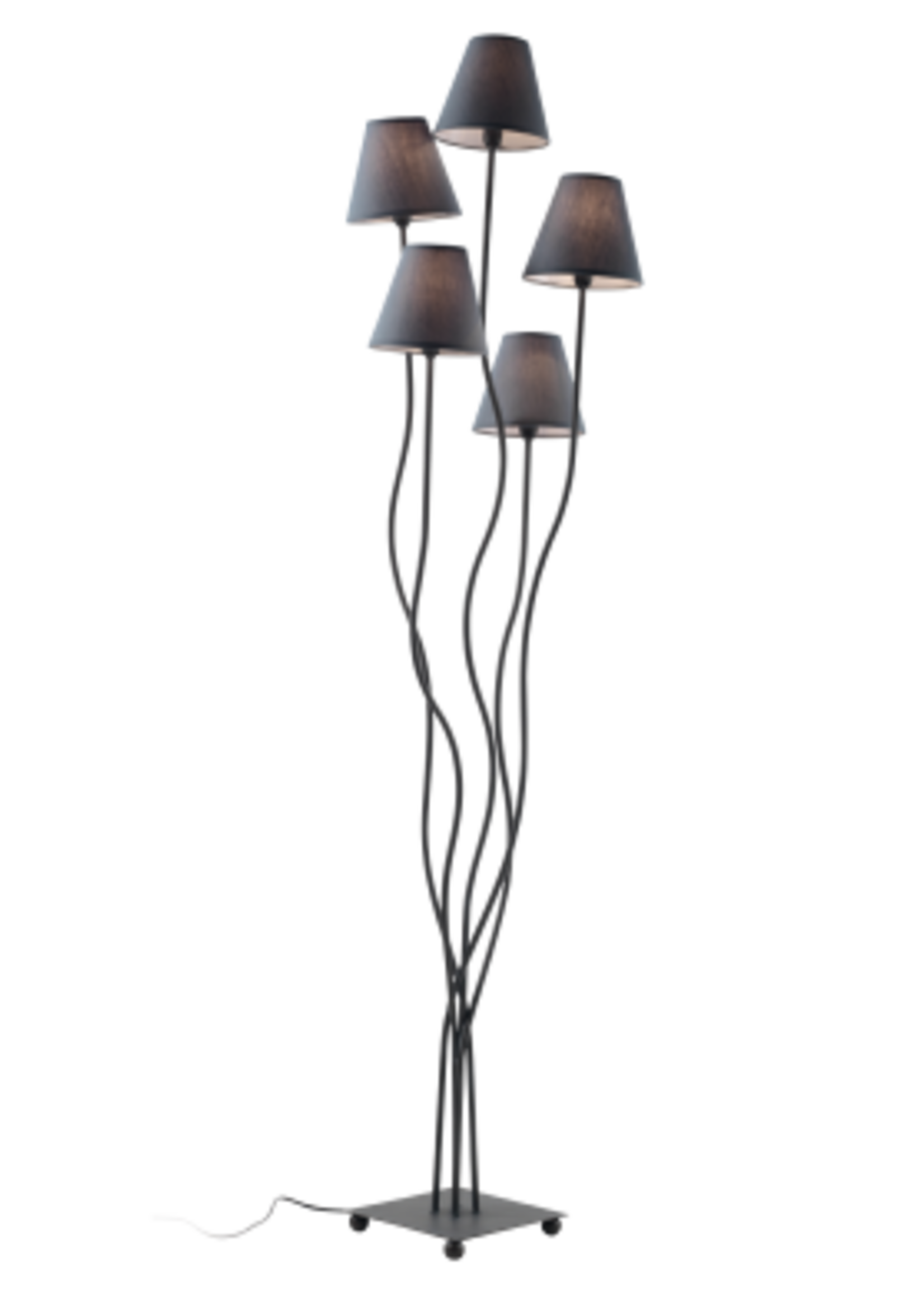 Mascagni LAMP CM.163
