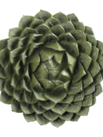 Mascagni CACTUS DECORATION