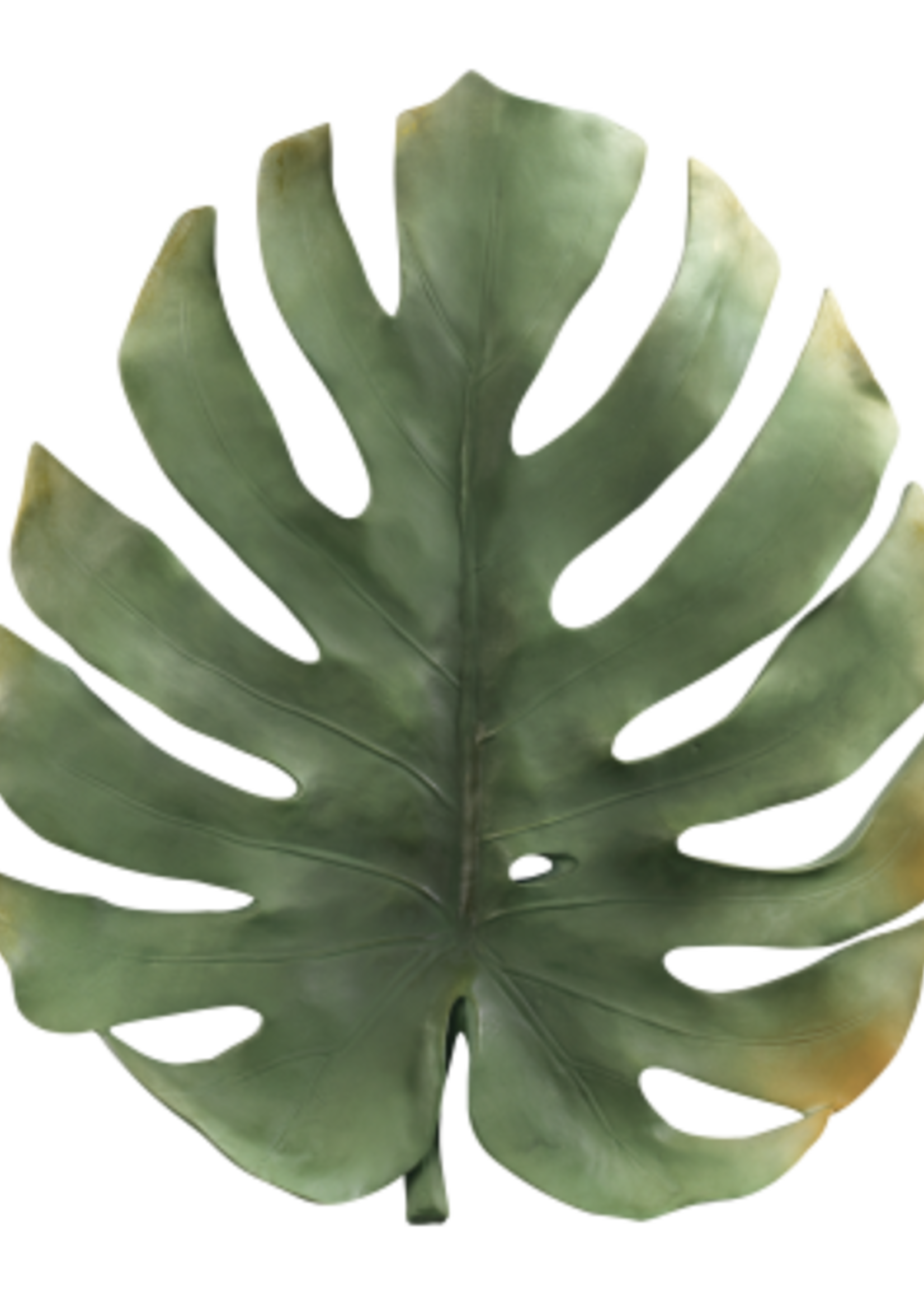 Mascagni TROPICAL LEAF