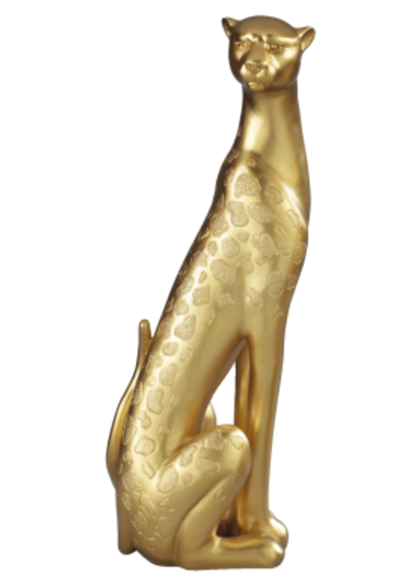 Mascagni FIGURE CM.43