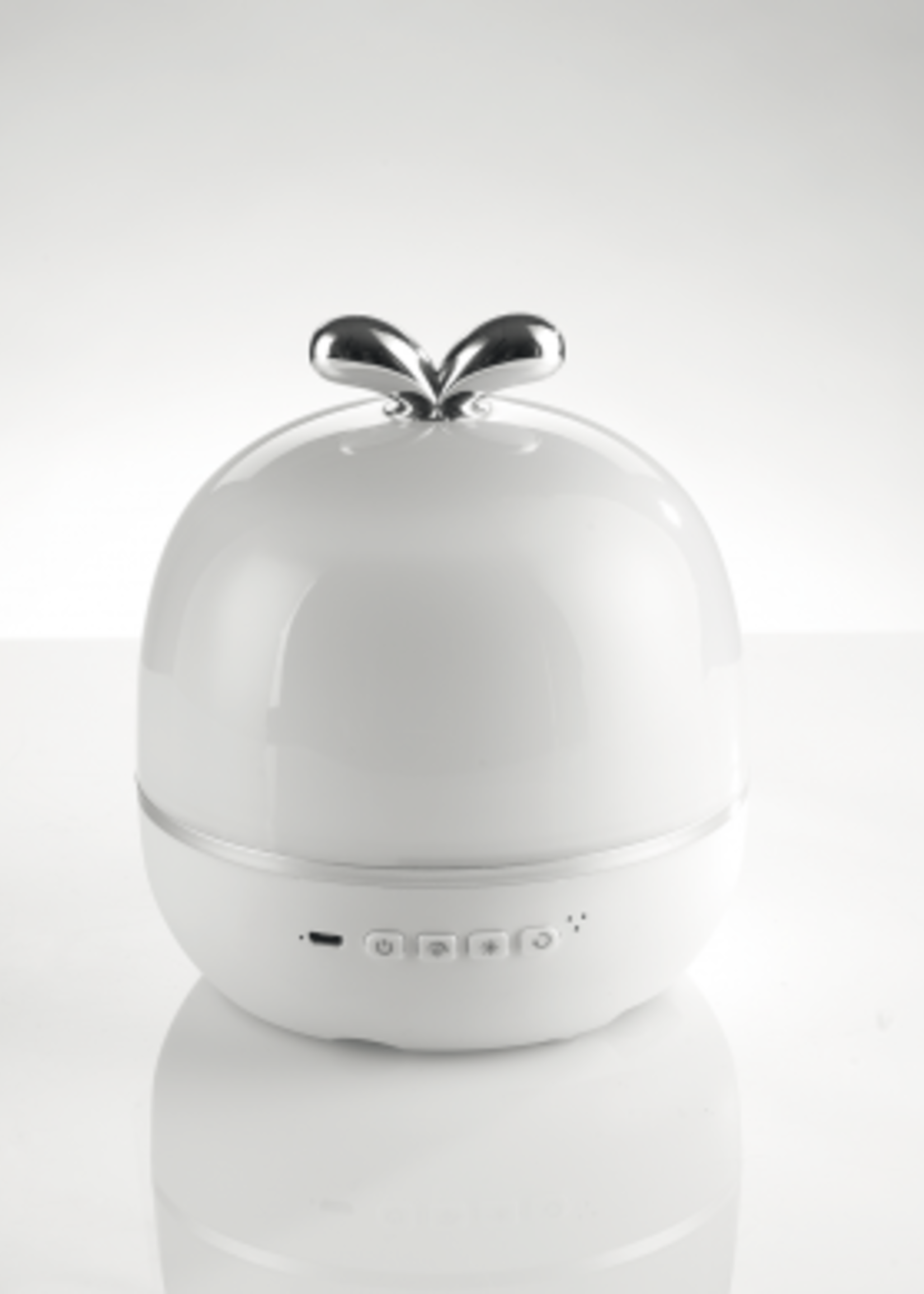 Mascagni PROJECTOR LAMP