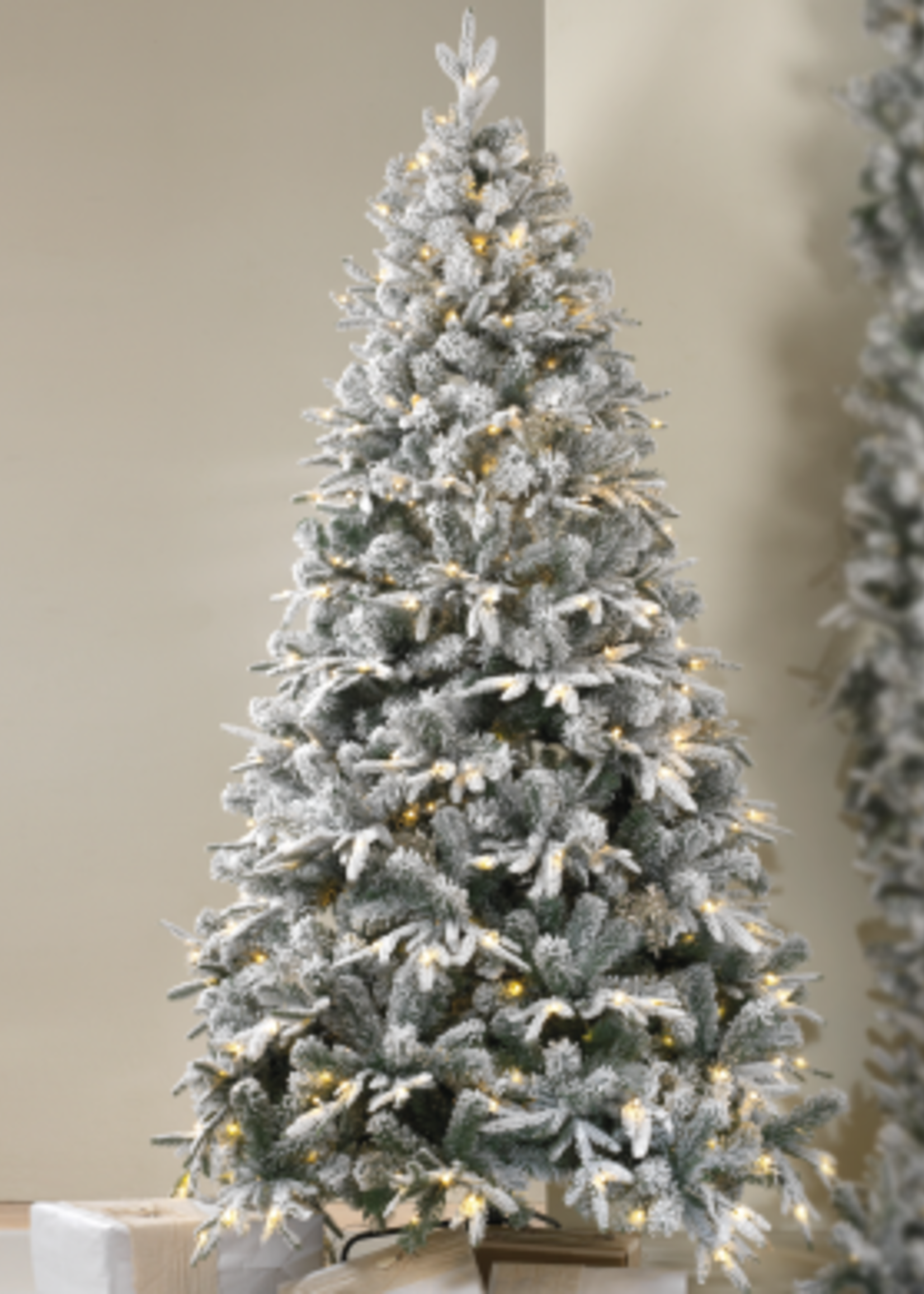 Mascagni LED FIR H.180
