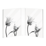 Mascagni MULTIPLE FRAME 10X15