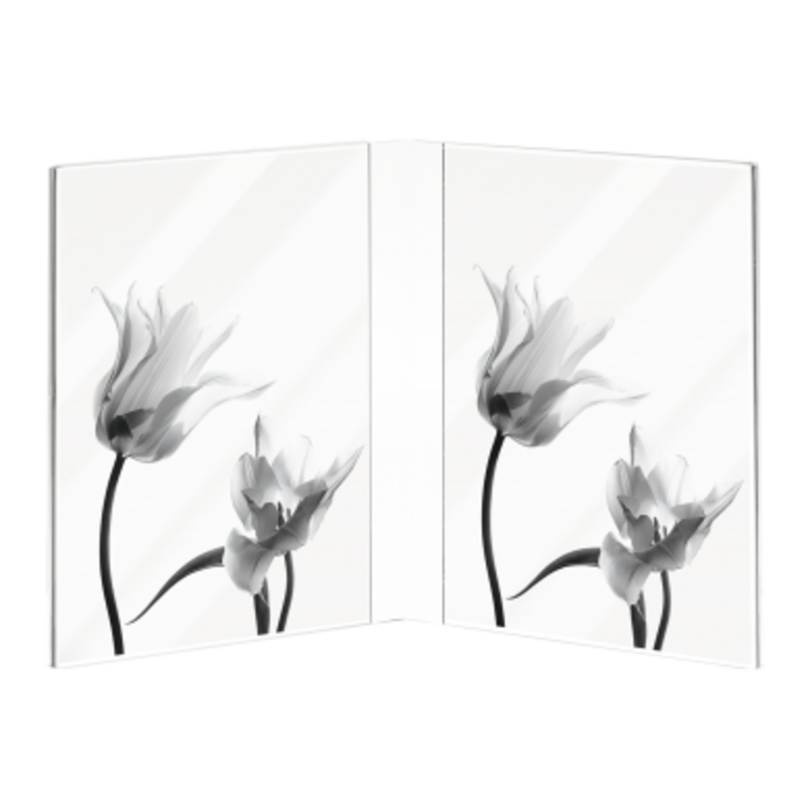 Mascagni MULTIPLE FRAME 10X15
