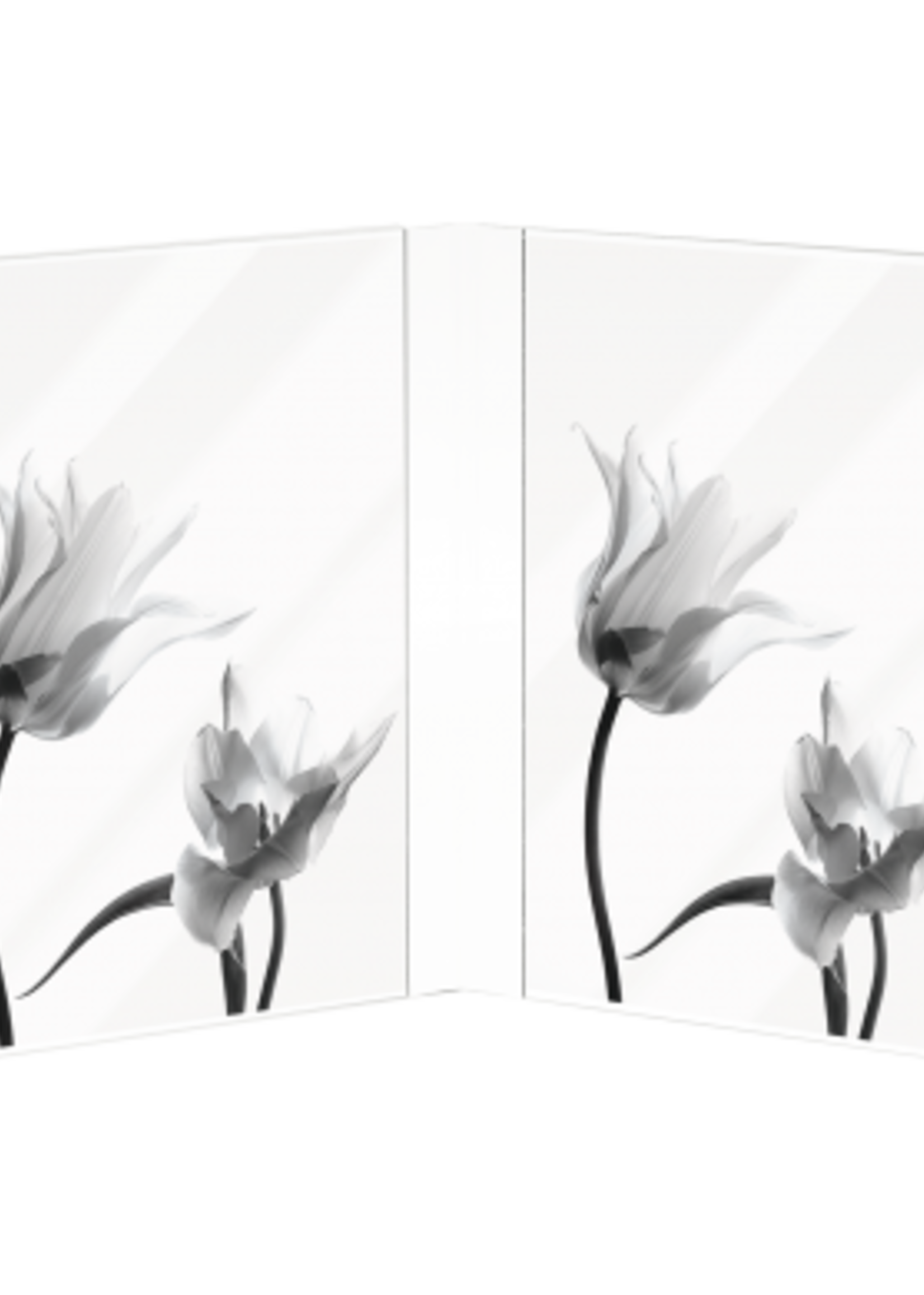 Mascagni MULTIPLE FRAME 10X15