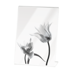 Mascagni PHOTO FRAME 10X15