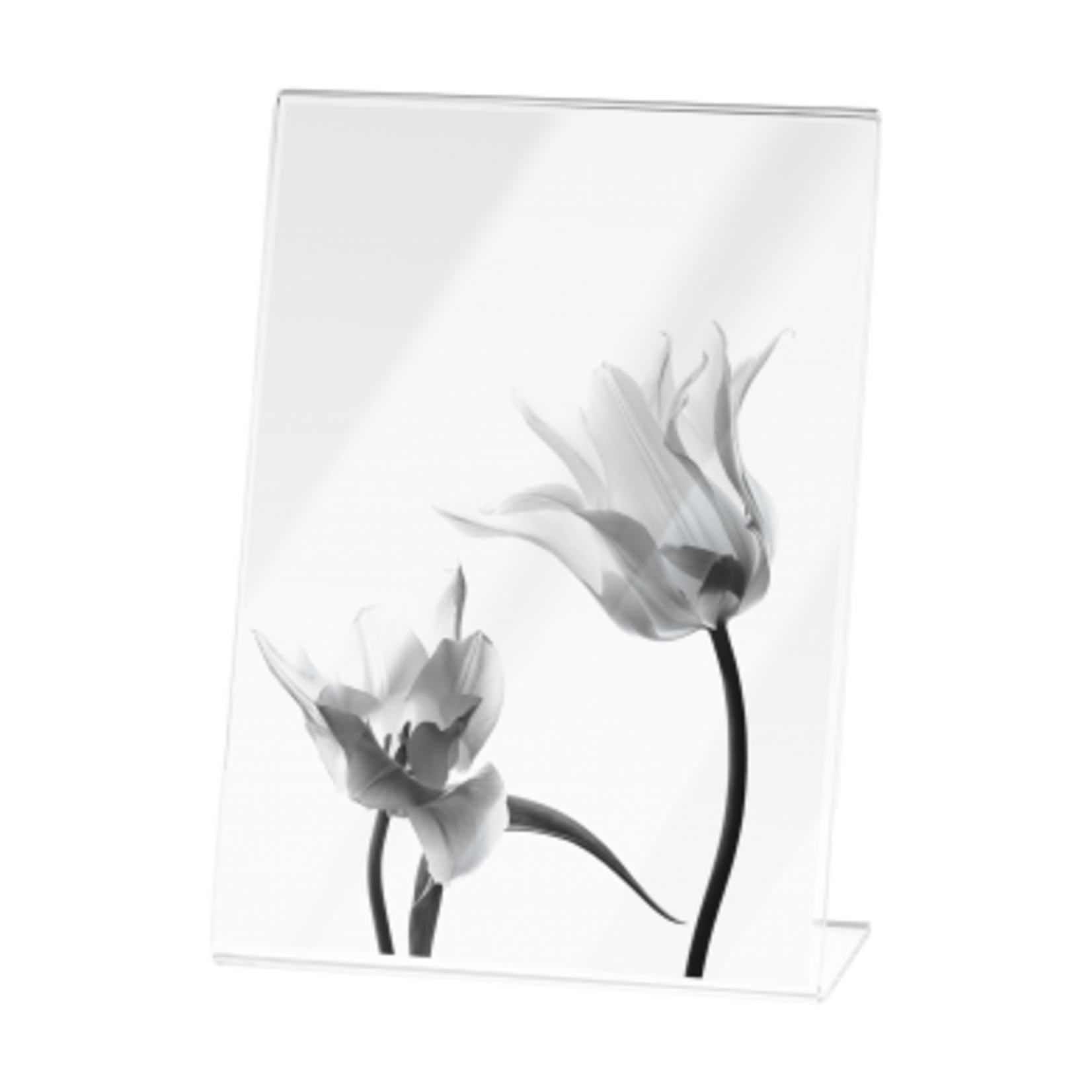 Mascagni PHOTO FRAME 10X15