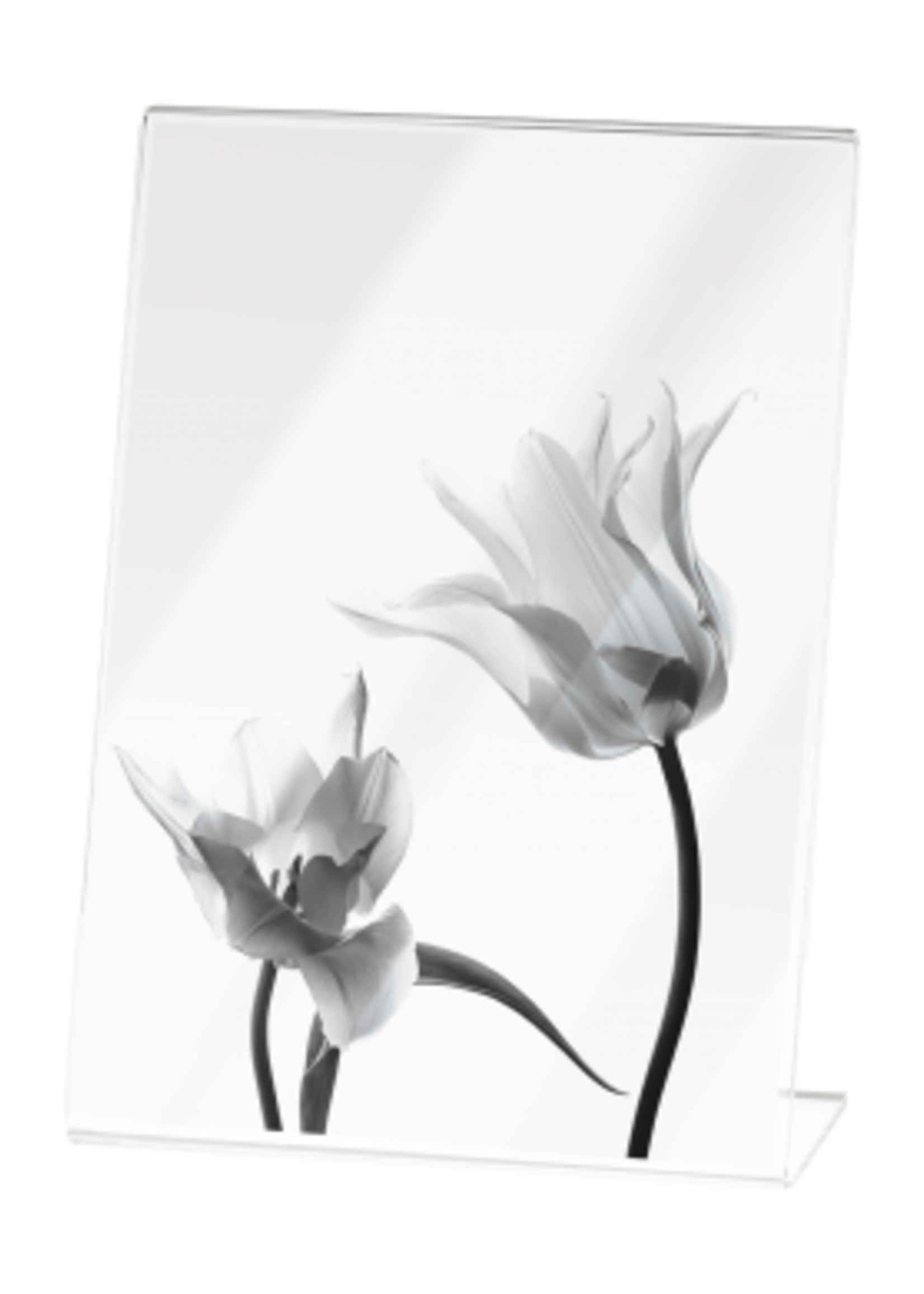 Mascagni PHOTO FRAME 10X15