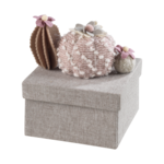 Mascagni BOX 15X15
