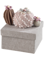 Mascagni BOX 15X15