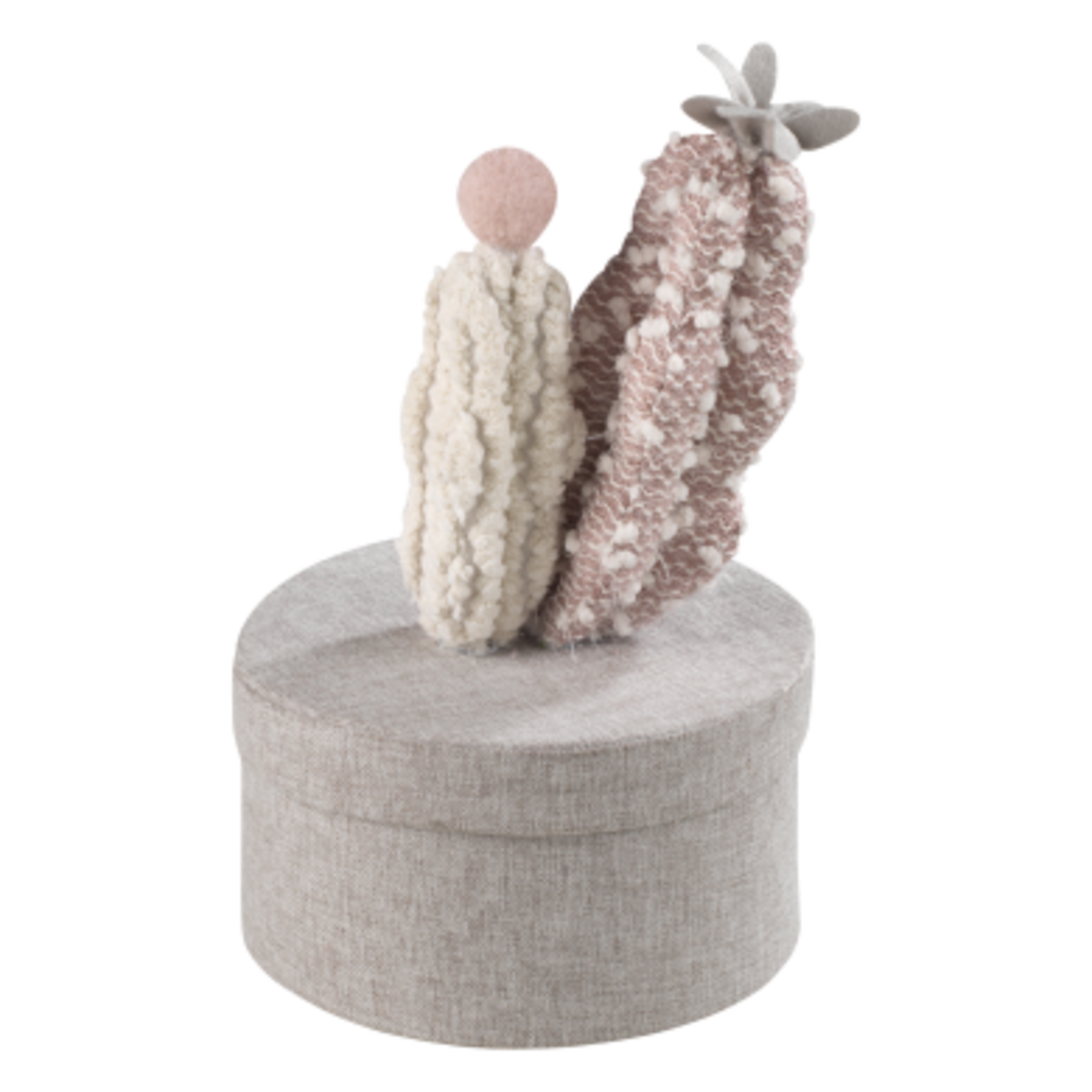 Mascagni BOX DIAM.16