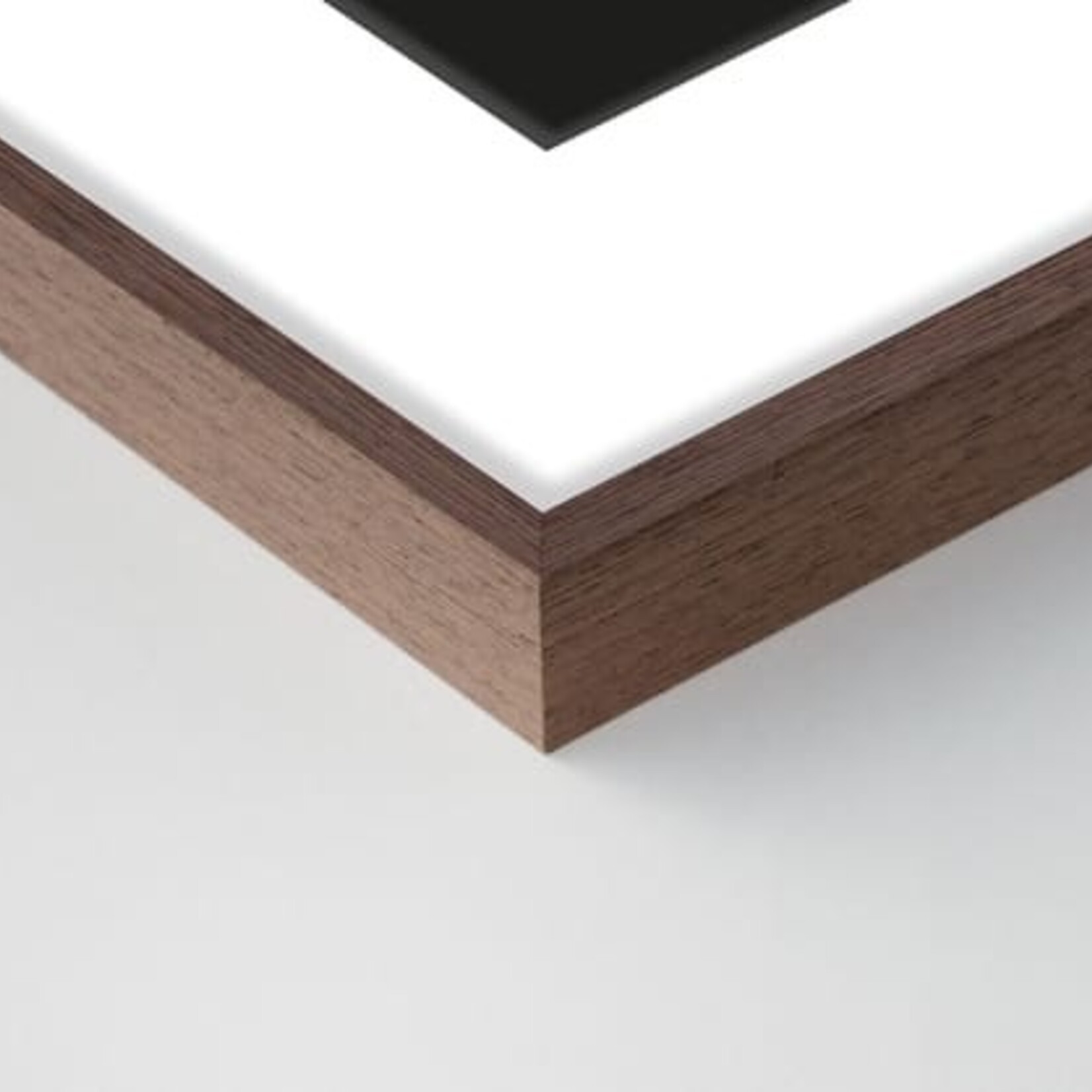 Nielsen aluminium wissellijst & passe-partout