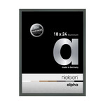Nielsen Alpha True Color Platin