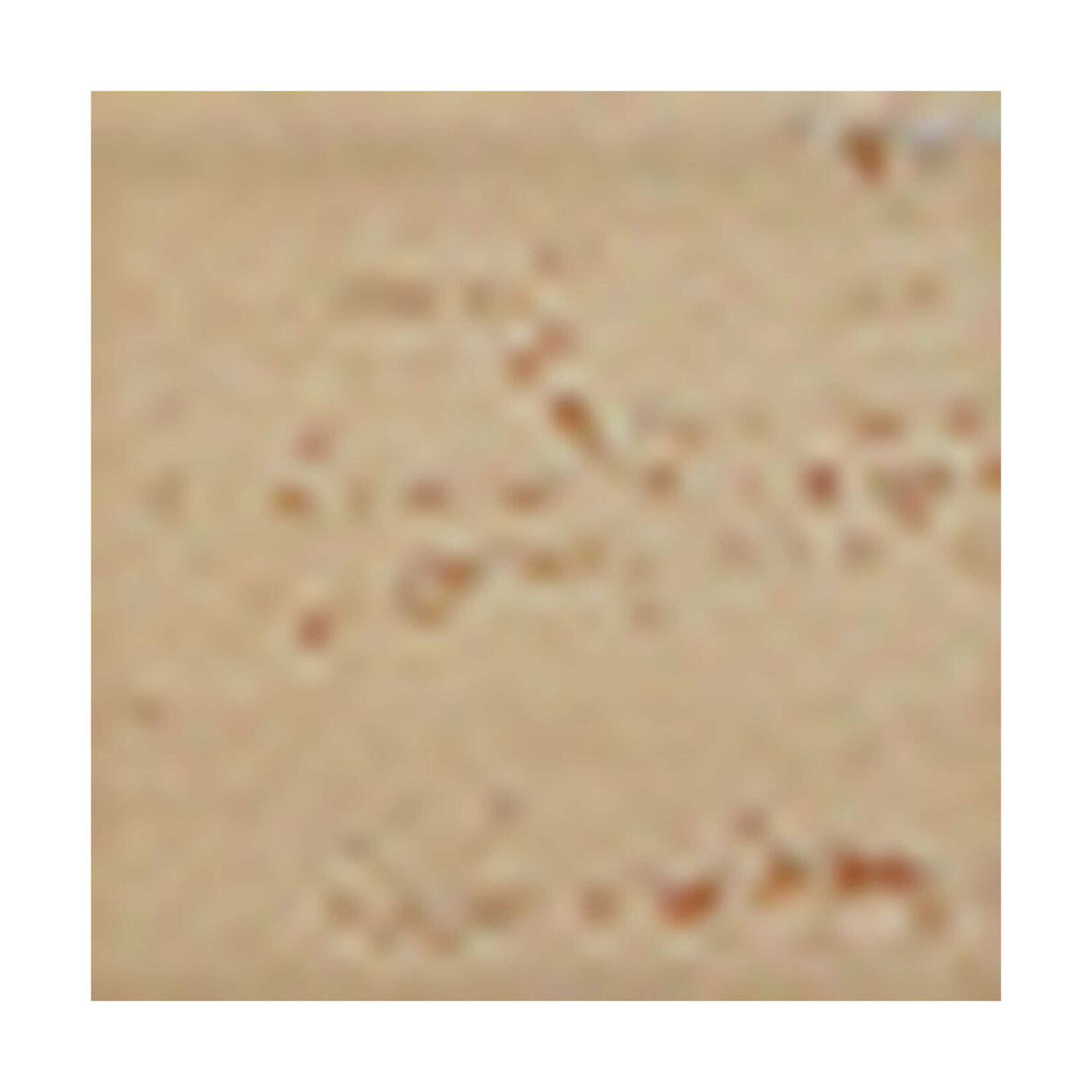 Nielsen Zoom Gold