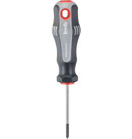 KWB SCHROEVENDRAAIER, PH1X80 MM
