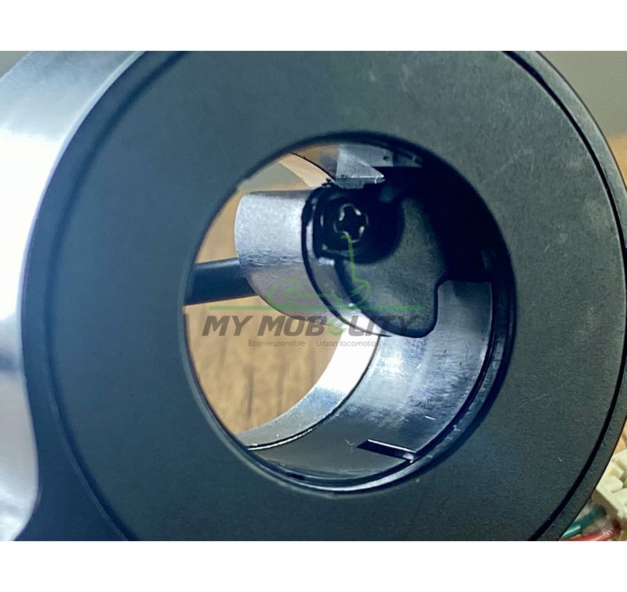 Ninebot Ninebot  Max G30 gashendel