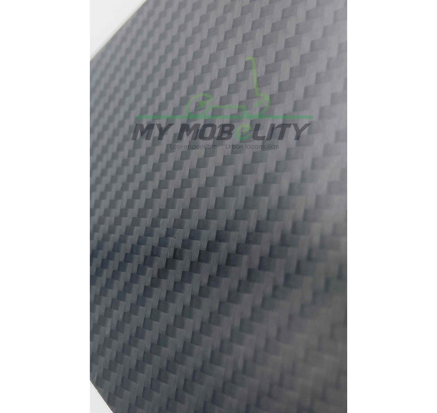 Dualtron Carbon achter spatbord