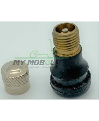 Tubeless valve