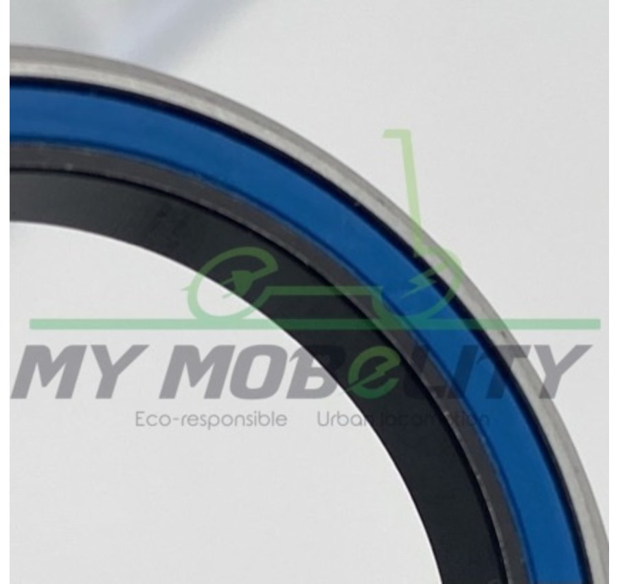 Dualtron Steering Pole Bearing