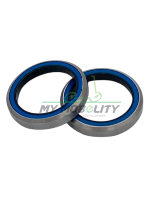 Dualtron roulement de colonne de direction