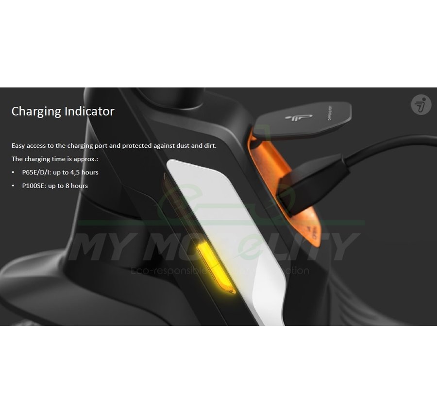 Ninebot Segway Ninebot P100S E