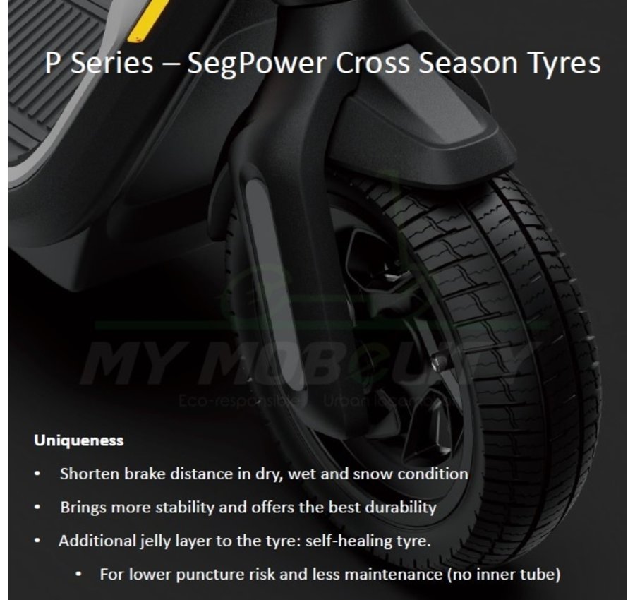 Ninebot Segway Ninebot P100S E