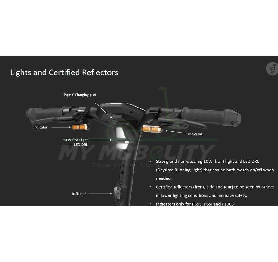 Ninebot Segway Ninebot P100S E